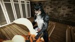 Wolf Realistic Skin - Eye and Body Textures - Yiffalicious f